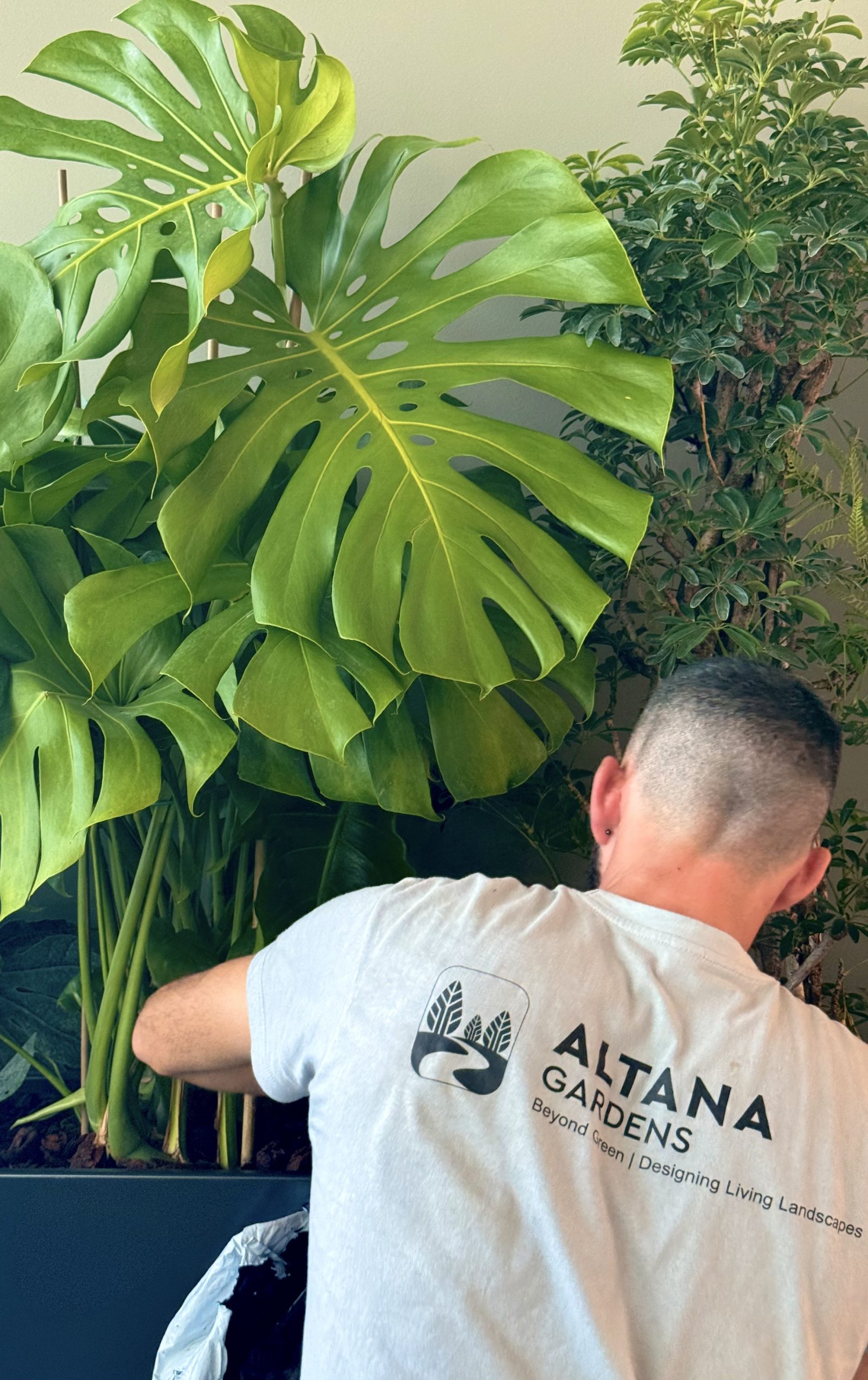 Υπηρεσίες Altana Gardens