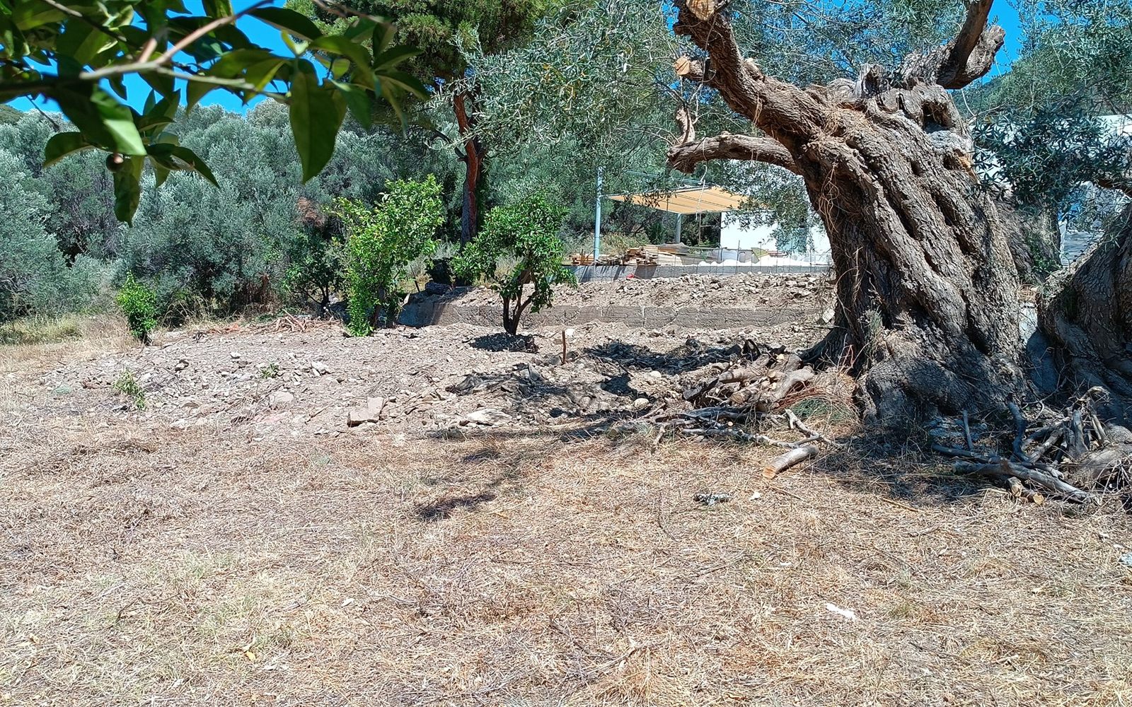 Before courtyard condition