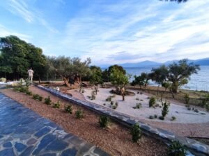 Read more about the article Σχεδίαση, Μελέτη και Δημιουργία Κήπου