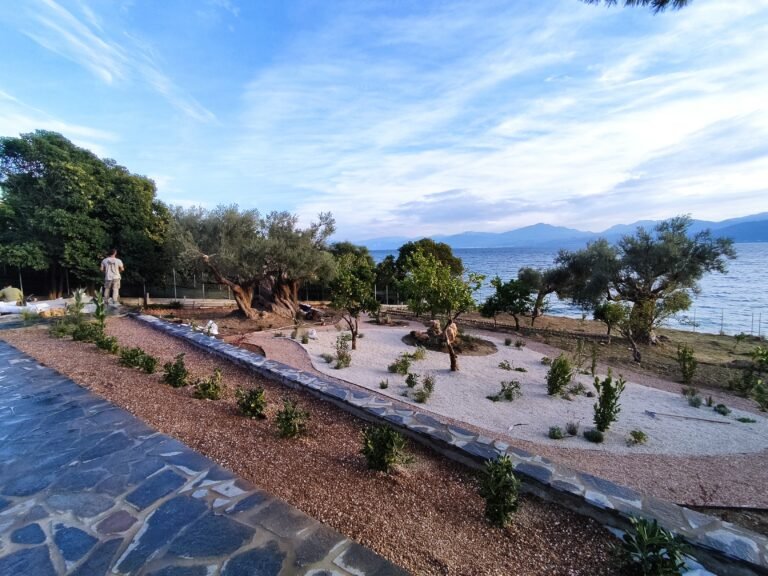 Read more about the article Σχεδίαση, Μελέτη και Δημιουργία Κήπου