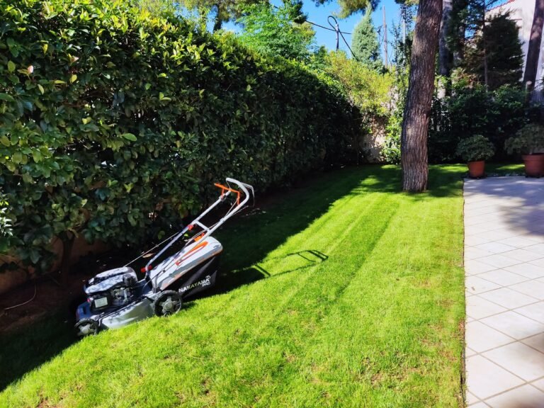 Read more about the article Land Clearing